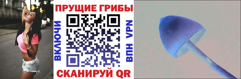 Псилоцибиновые грибы прущие грибы  Купить закладки  Клинцы 